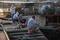 Fishing enthusiasts in shekou fishing port Royalty Free Stock Photo