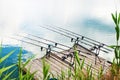 Fishing. Royalty Free Stock Photo