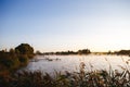 Fishing equipment on pier on lake. Feeder carp rods Royalty Free Stock Photo