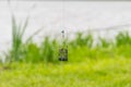 Fishing feeder suspended on a fishing line