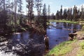 Fishing at Firehole River Royalty Free Stock Photo