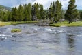 Fishing in the Firehole River Royalty Free Stock Photo