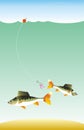 Fishing of fish on fishing rod Royalty Free Stock Photo