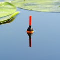 Fishing float among the leaves of water lilies in the Dnieper river Royalty Free Stock Photo