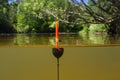 Fishing float sits upright in forest river Royalty Free Stock Photo