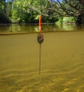 A fishing float sits upright in a forest stream Royalty Free Stock Photo