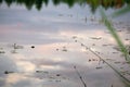 Fishing float on the water reflection relax ripple Royalty Free Stock Photo