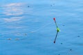 Fishing float on the water surface Royalty Free Stock Photo