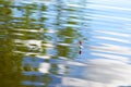 Fishing float on water with waves and beautiful reflection Royalty Free Stock Photo