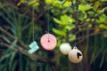 Fishing floats in tree branch