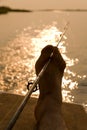 Fishing with foot at sunset Royalty Free Stock Photo