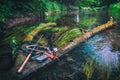 Fishing gear lying on the bank of a forest stream. Fly fishing and tenkara Royalty Free Stock Photo