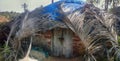 Fishing half dugout (pandal) covered with palm leaves