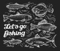 Fishing. Hand drawn sketch fish, herring, trout, flounder, carp, tuna, sprat. Vector illustration Royalty Free Stock Photo