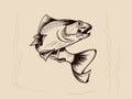 Fishing. Hand drawn vector fish. Sketch fish Royalty Free Stock Photo