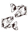 Fishing. Hand drawn vector fish. Sketch fish Royalty Free Stock Photo
