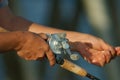 Fishing Hands Royalty Free Stock Photo