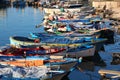 Fishing harbor of Bisceglie, Italy