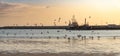 Fishing harbour in Povoa de Varzim, Portugal at Dusk. Seagulls in silhouette flying over shore Royalty Free Stock Photo