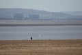 Fishing by hinkley point power station Royalty Free Stock Photo