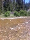 Fishing Hole On the Nordegg River