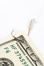 Fishing Hook and Dollar Royalty Free Stock Photo