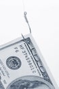 Fishing Hook and Dollar Royalty Free Stock Photo