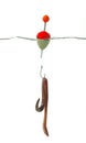 Fishing hook with earthworm