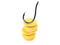 Fishing hook with stack of coins Royalty Free Stock Photo