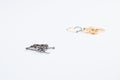 Fishing hooks isolated on white background. Fishing equipment Royalty Free Stock Photo