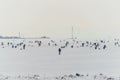 Fishermans on ice. Mans fishing on ice on gulf on Finland near Kronshtadt, Saint Petersburg, Russia, 03 February 2018