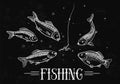 Fishing Illustration. Royalty Free Stock Photo