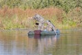 Fishing with industrial nets from a boat