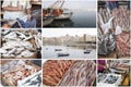 Fishing industry collage