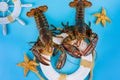 Fishing industry. Raw lobster on rescue circle with starfish on blue background