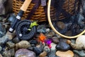 Fishing Items on Wet River Stones Royalty Free Stock Photo
