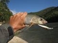 Fishing and kayaking, Irkut river, Sayan mountains, Siberia, Russia, Siberian landscapes