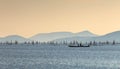 Fishing on A Lake Royalty Free Stock Photo