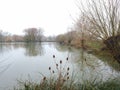 Fishing Lakes at Somerton Wessex Royalty Free Stock Photo