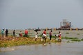Fishing in landfills in Cochin(Kochin) of India