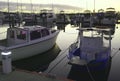 Fishing and leisure boats moored at Lakes Entrance