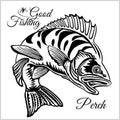 Fishing logo. Bass fish club emblem. Fishing theme vector illustration. Isolated on white. Royalty Free Stock Photo