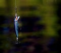 Fishing lure Royalty Free Stock Photo