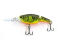 Fishing Lure Royalty Free Stock Photo