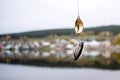 Fishing lure caught pearl barley instead of fish Royalty Free Stock Photo