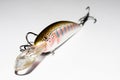 Fishing lure Royalty Free Stock Photo