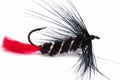 Fishing Lure Royalty Free Stock Photo