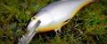 Fishing lure plug Rapala Shar Rap SSH colour