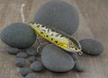 Fishing Lure Royalty Free Stock Photo