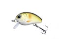 Fishing lure Royalty Free Stock Photo